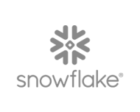 snowflake snowflake